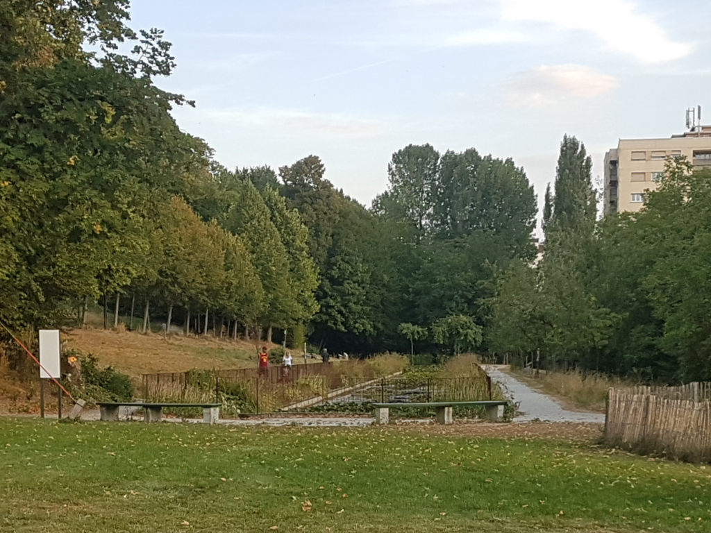 Cours et parc pour pratiquer le Taichi en extérieur