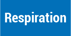 Respiration